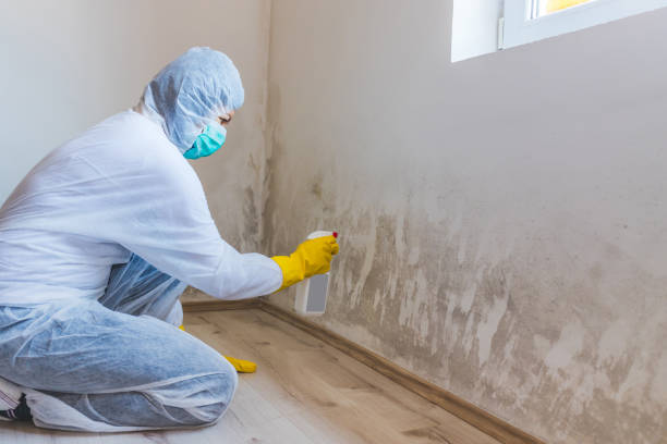 Best Residential Mold Inspection & Testing  in Woodcliff Lake, NJ