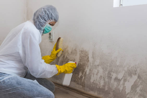 Best Post-Remediation Verification Testing  in Woodcliff Lake, NJ