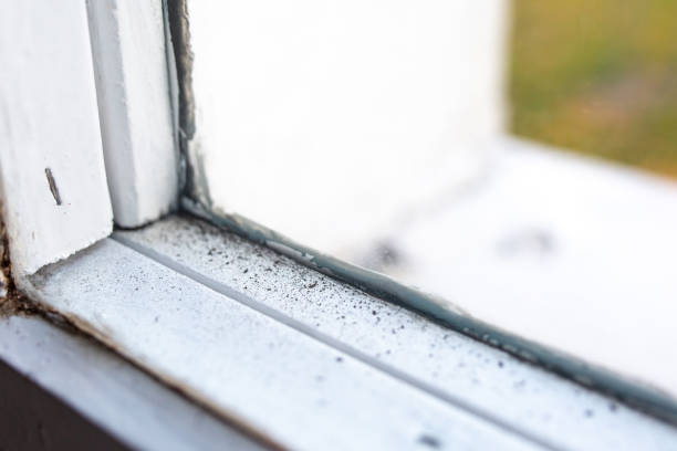Best Post-Construction Mold Inspection  in Woodcliff Lake, NJ