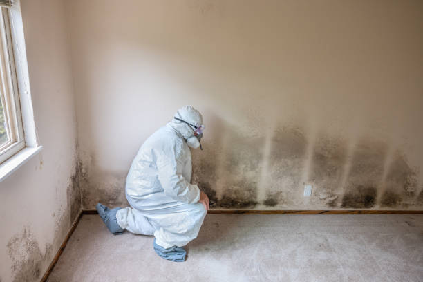 Best Dehumidification Services  in Woodcliff Lake, NJ