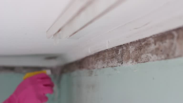 Best Indoor Air Quality Assessment  in Woodcliff Lake, NJ